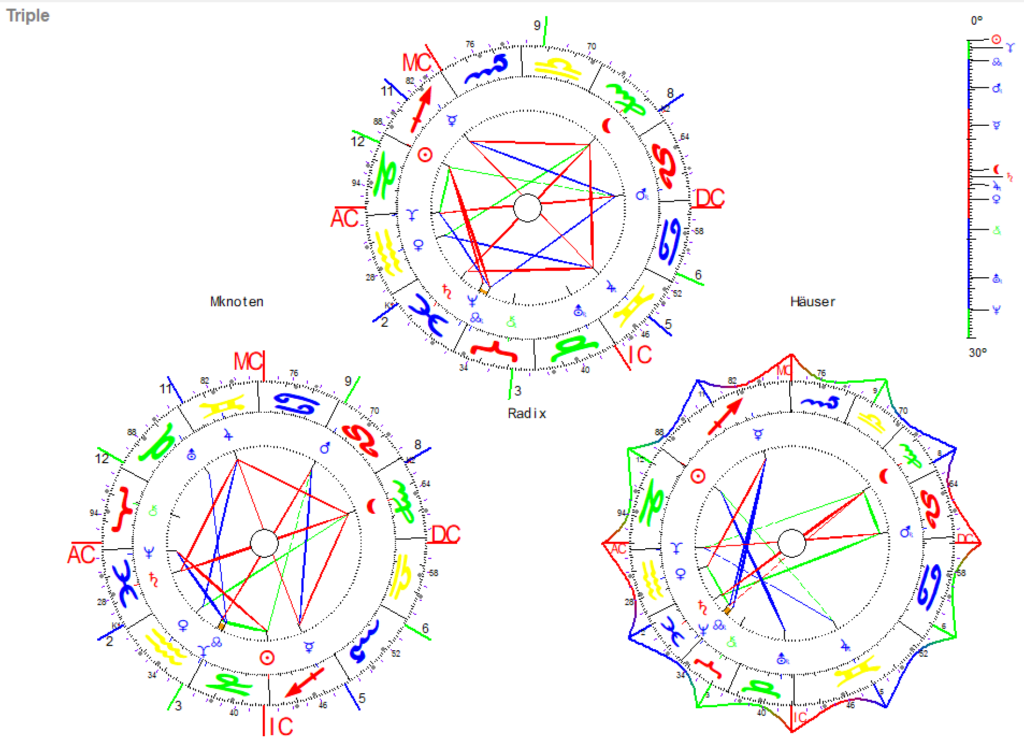 Steinbock 2024 25 Triple Grafik