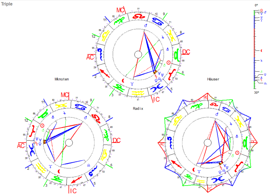 Stier 2025 Triple Grafik